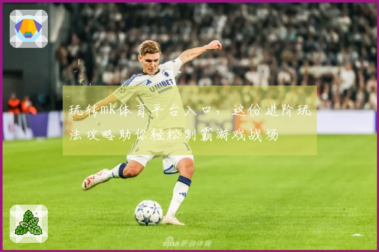 玩转mk体育平台入口，这份进阶玩法攻略助你轻松制霸游戏战场