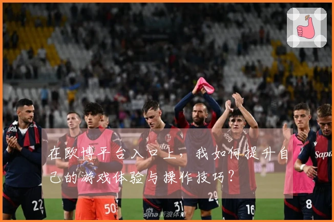 在欧博平台入口上，我如何提升自己的游戏体验与操作技巧？