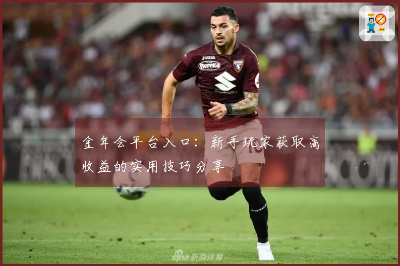 金年会平台入口：新手玩家获取高收益的实用技巧分享