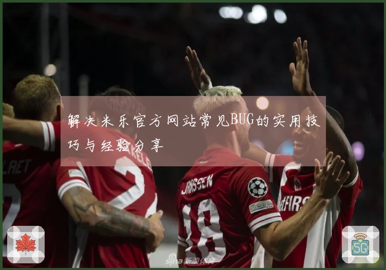 解决米乐官方网站常见BUG的实用技巧与经验分享